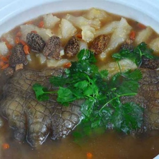 Cá sấu tiềm thuốc bắc